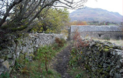 Path to Barn